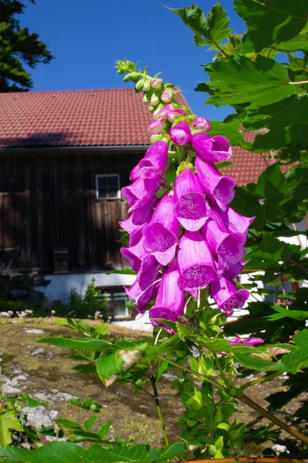 Ferienhaus Ploeckenstein Schwarzenberg am Bohmerwald Dış mekan fotoğraf