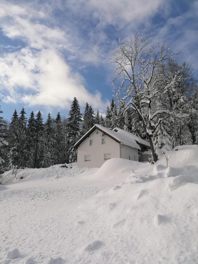 Ferienhaus Ploeckenstein Schwarzenberg am Bohmerwald Dış mekan fotoğraf