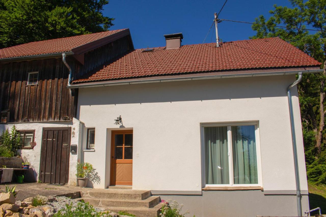 Ferienhaus Ploeckenstein Schwarzenberg am Bohmerwald Dış mekan fotoğraf