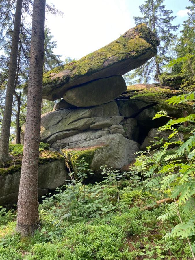 Ferienhaus Ploeckenstein Schwarzenberg am Bohmerwald Dış mekan fotoğraf